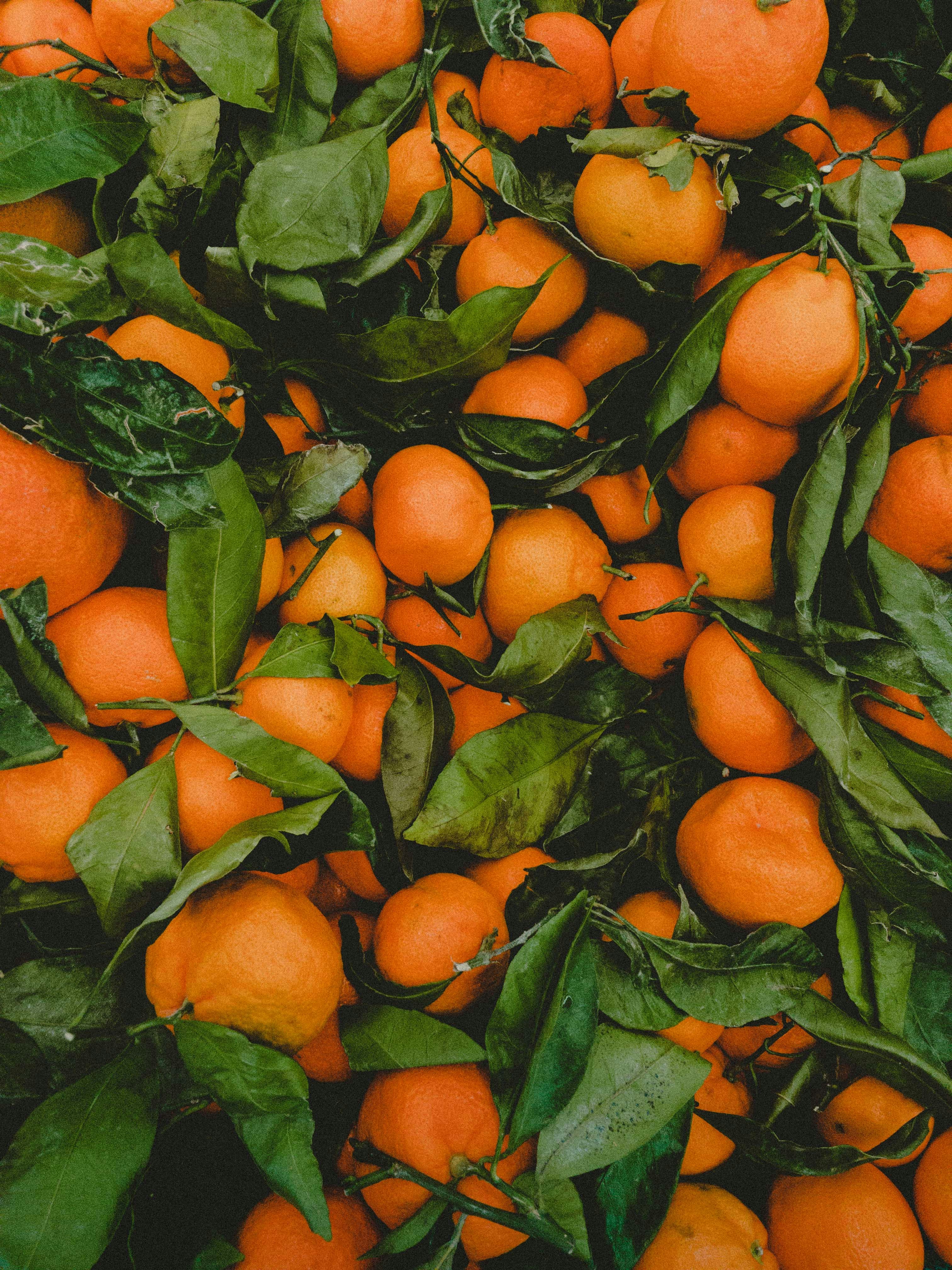 Australian citrus fruit